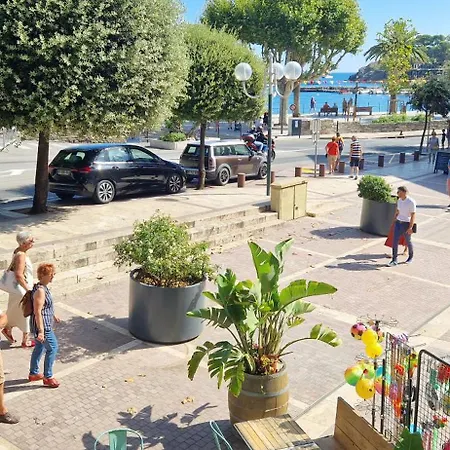 Studio pieds dans l'eau - vue mer - plage Appartement Collioure